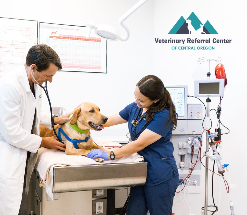 Photo inspiration: Fresh Look at Veterinary Referral Center Of Central Oregon Expands Life Saving Treatment